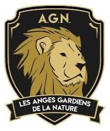 AGN